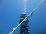 Hawaii Scuba divng 15