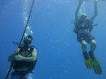 Hawaii Scuba divng 16