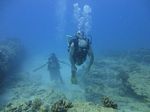 Hawaii Scuba divng 18