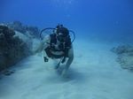 Hawaii Scuba divng 20