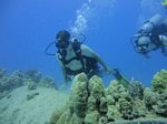 Hawaii Scuba divng 21