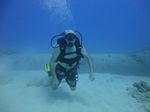 Hawaii Scuba divng 22