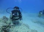 Hawaii Scuba divng 23