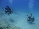 Hawaii Scuba divng 24