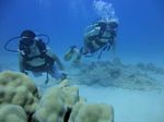 Hawaii Scuba divng 25