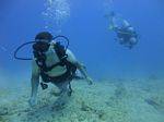 Hawaii Scuba divng 29