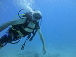 Hawaii Scuba divng 31