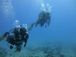 Hawaii Scuba divng 32