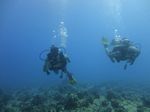 Hawaii Scuba divng 34