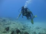 Hawaii Scuba divng 37