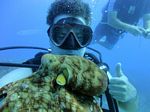 Hawaii Scuba divng 52