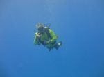 Hawaii Scuba divng 11