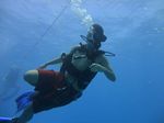 Hawaii Scuba divng 12