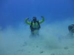 Hawaii Scuba divng 15