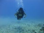 Hawaii Scuba divng 16