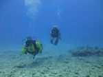 Hawaii Scuba divng 17