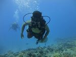 Hawaii Scuba divng 30