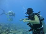 Hawaii Scuba divng 32