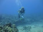 Hawaii Scuba divng 33