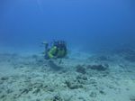 Hawaii Scuba divng 34