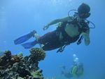 Hawaii Scuba divng 35