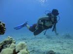 Hawaii Scuba divng 37