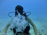 Hawaii Scuba divng 43