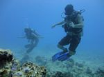 Hawaii Scuba divng 45