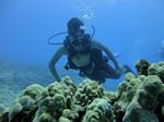 Hawaii Scuba divng 46