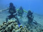 Hawaii Scuba divng 47