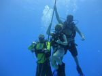 Hawaii Scuba divng 72