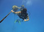 Hawaii Scuba divng 73