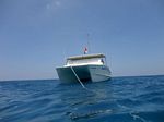 Hawaii Scuba divng 74