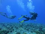 Hawaii Scuba divng 22