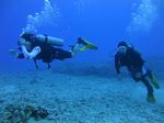 Hawaii Scuba divng 26