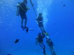 Hawaii Scuba divng 28