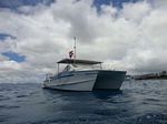 Hawaii Scuba divng 31