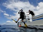 Hawaii Scuba divng 32