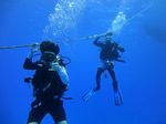 Hawaii Scuba divng 34