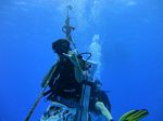 Hawaii Scuba divng 35