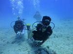 Hawaii Scuba divng 37