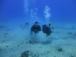 Hawaii Scuba divng 38