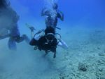 Hawaii Scuba divng 41