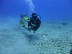 Hawaii Scuba divng 43