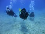 Hawaii Scuba divng 45