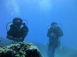 Hawaii Scuba divng 52