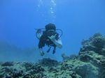 Hawaii Scuba divng 53