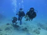 Hawaii Scuba divng 54