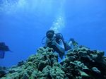 Hawaii Scuba divng 58