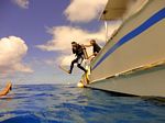 Hawaii Scuba divng 05